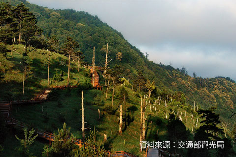 觀霧國家森林遊樂區